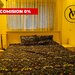 Liviu Rebreanu, Metrou Titan 7 min., apartament 3 camere.